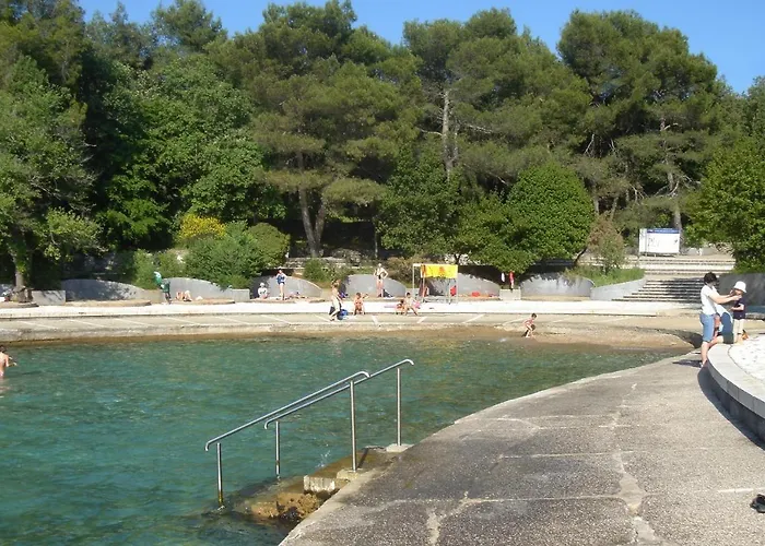 Maison d'hôtes And With Parking Space Sveti Vid, Krk - 5323